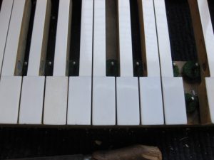Challen grand piano front ivory key tops repair from Mrs P in Canvey Island.