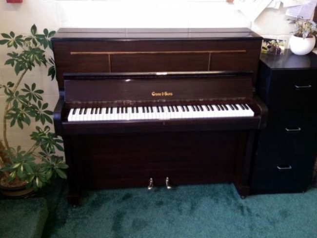 crane and son piano 1